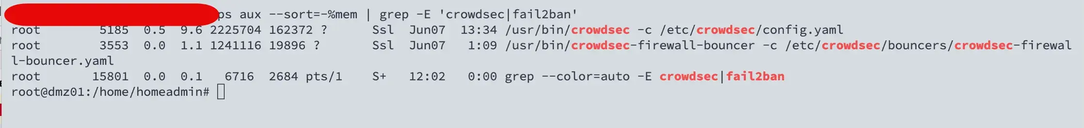 Terminal output showing CrowdSec process memory and CPU usage — 9.6% RAM for the agent and 1.1% for the firewall bouncer