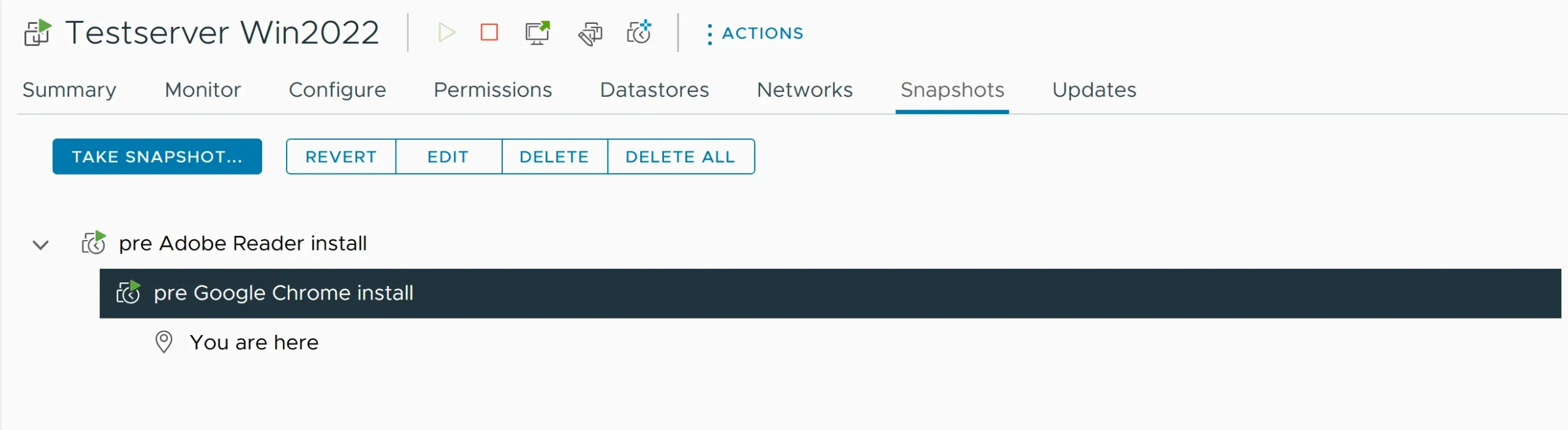 Delete a Snapshot