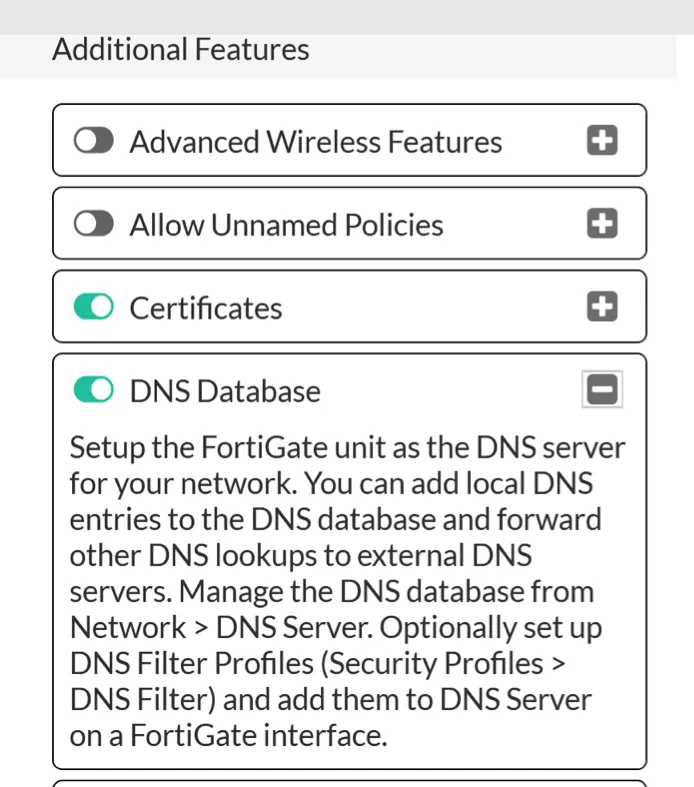 Fortigate feature DNS database