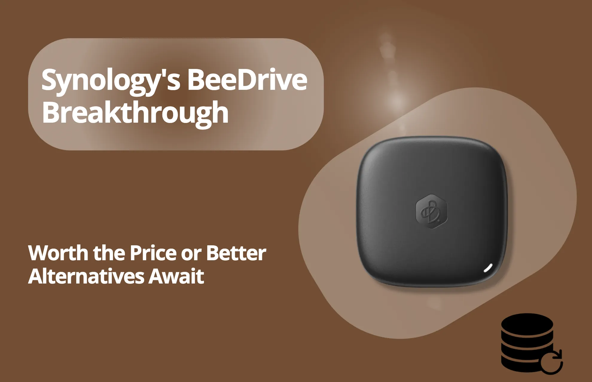 Synology BeeDrive review title