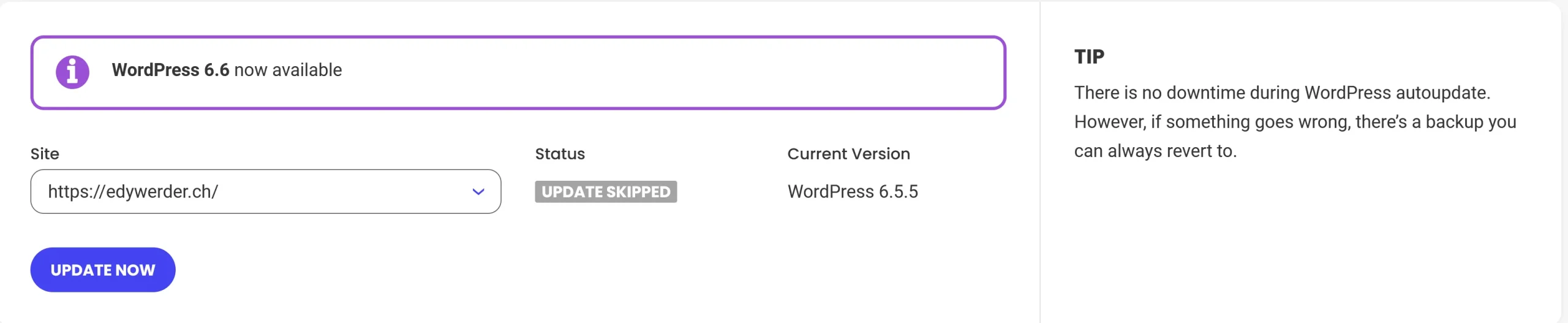 WordPress Automatic Updates: Staying in Control (Even with Your Host) 5 SiteGround - WordPress update skipped