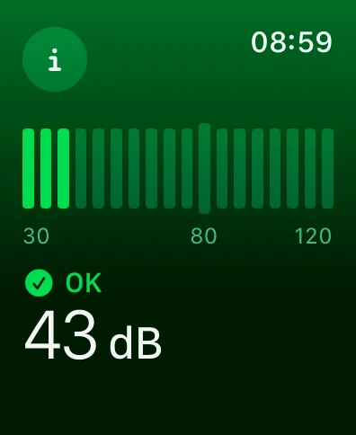Quiet Server for Home Lab: How to Build a Powerful, Low-Noise Setup 5 Noise level measured by Apple Watch in my basement with the two Dell Tower Servers