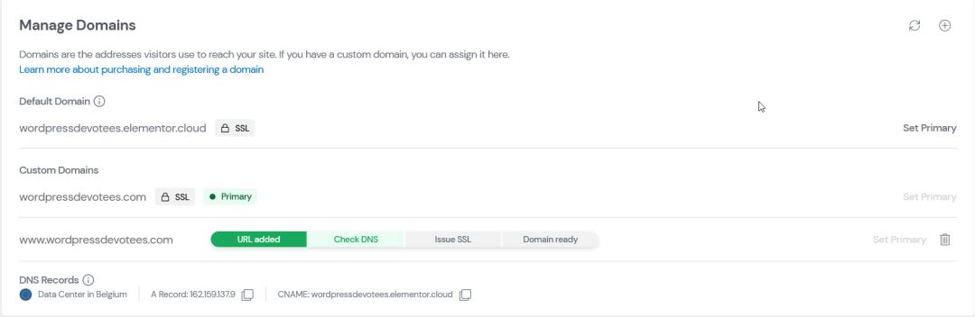 Elementor Hosting Review: My Experience with Their WordPress Hosting Services 8 Elementor hosting manage domains